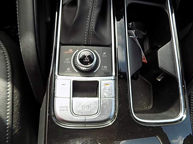  2025 Kia Telluride Image: 10